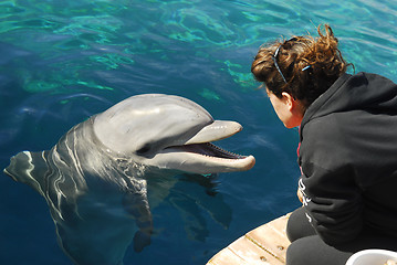 Image showing Dolphinarium