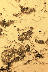 Image showing microscopic microcrystal background