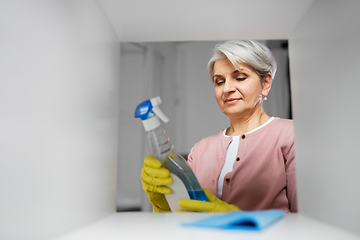 Image showing senior woman cleaning rack with detergent at home