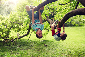 Image showing two happy boys hanging on tree in summer park