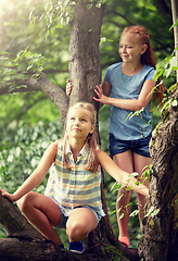 Image showing two happy girls climbing up tree in summer park