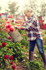 Image showing senior woman watering flowers at summer garden