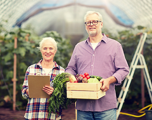 Image showing senior couple with box of vegetables on farm