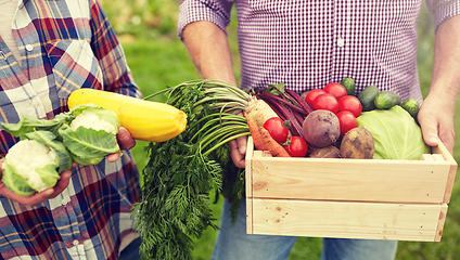 Image showing senior couple with box of vegetables on farm