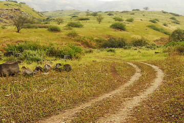 Image showing Golan heights