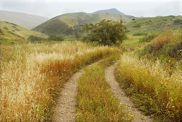 Image showing Golan heights