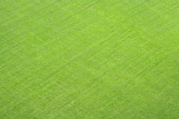 Image showing green grass lawn