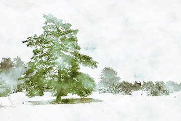 Image showing winter landscape scenery with a pine tree digital watercolor pai