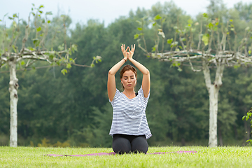 Image showing Young beautiful woman doing yoga exercise in green park. Healthy lifestyle and fitness concept.