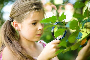 Image showing Girl is looking at tree leaves through magnifier