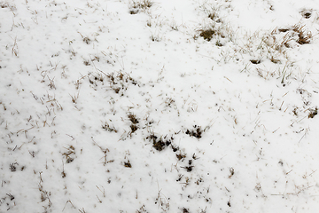 Image showing After snowfall