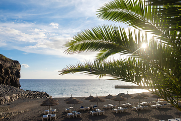 Image showing view on beach through palm tree leaves