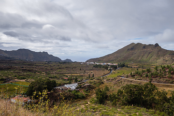 Image showing cactus plants on tenerife island