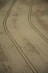 Image showing Grainfield near Laboe, Germany