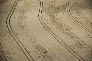 Image showing Grainfield near Laboe, Germany