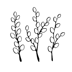 Image showing Willow twigs in black isolated on white