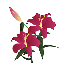 Image showing Vector illustration of dark pink lily flowers with green leafs a