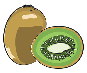 Image showing A kiwi fruit, vector color illustration.