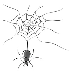 Image showing A black and white picture of a spider with its web vector color 
