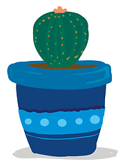 Image showing A cactus plant with pink flower in a beautiful blue pot provides