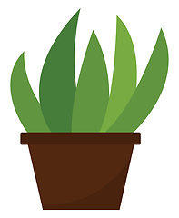 Image showing Clipart of home plant growing in a brown pot vector or color ill