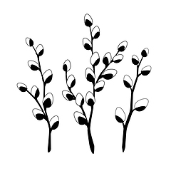 Image showing Willow twigs in black isolated on white