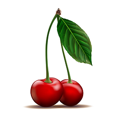 Image showing Two ripe red Cherry isolated on white background.