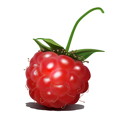 Image showing Raspberry. Sweet fruit. 3d realistic vector icon