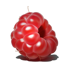 Image showing Raspberry. Sweet fruit. 3d realistic vector icon