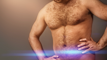 Image showing very hairy male body