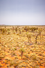 Image showing landscape scenery of the Australia outback