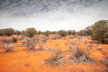 Image showing landscape scenery of the Australia outback