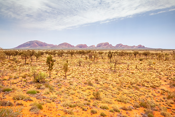 Image showing landscape scenery of the Australia outback