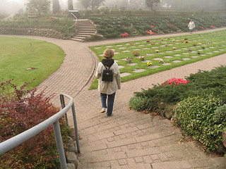 Image showing Graveyard