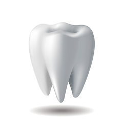 Image showing Realistic white Tooth isolated on white background