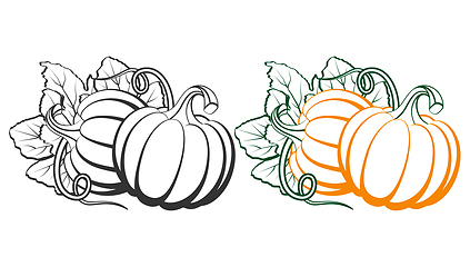 Image showing Pumpkins with leaves, silhouette on white background.