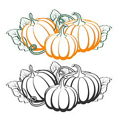 Image showing Pumpkins with leaves, silhouette on white background.