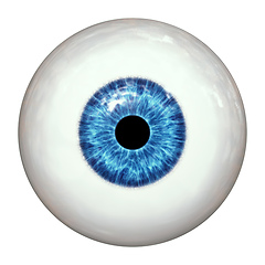 Image showing blue human eye ball