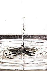 Image showing black water drop background