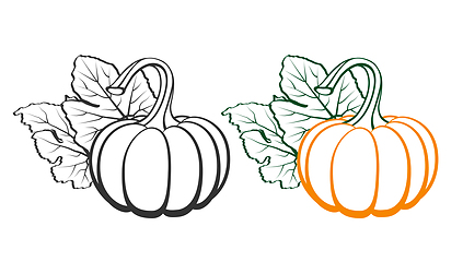 Image showing Pumpkins with leaves, silhouette on white background.