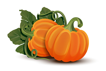 Image showing Pumpkins with leaves isolated on white background