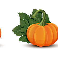 Image showing Pumpkins with leaves isolated on white background