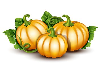 Image showing Pumpkins with leaves isolated on white background