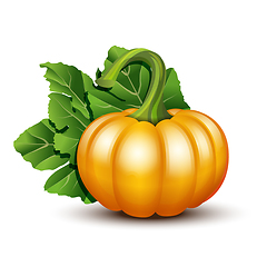 Image showing Pumpkins with leaves isolated on white background