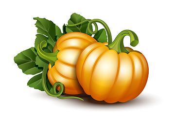 Image showing Pumpkins with leaves isolated on white background