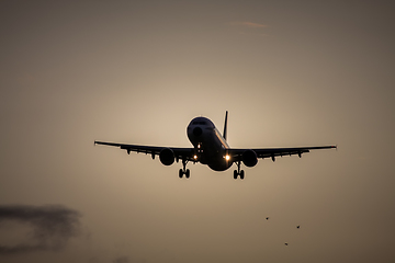 Image showing air plane in sunset sky