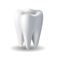 Image showing Realistic white Tooth isolated on white background