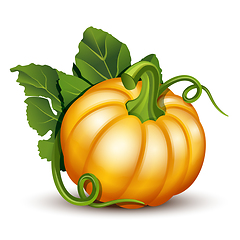 Image showing Pumpkins with leaves isolated on white background