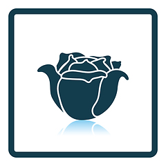 Image showing Cabbage icon