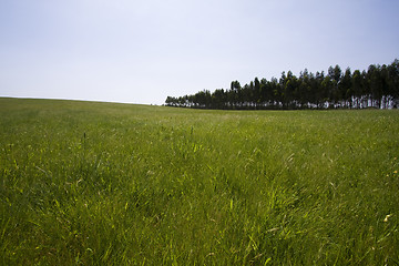 Image showing green hill